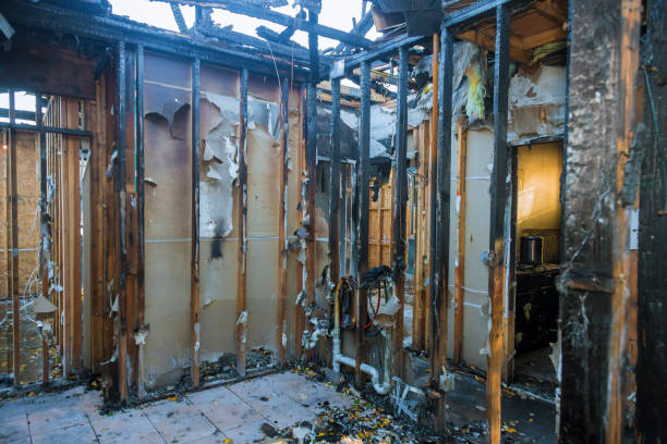 Professional Smoke Damage Removal technician working in Malverne, NY